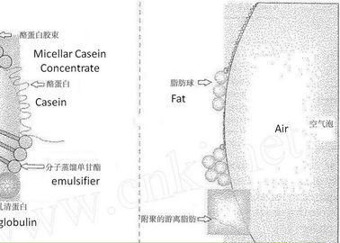 粉末形式 エムルチファイヤー E475 / Finamul PGE 2070 脂肪酸のポリグリセロールエステル 20kg クラフト・カートン